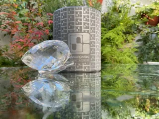 Cisne Swarovski Plata