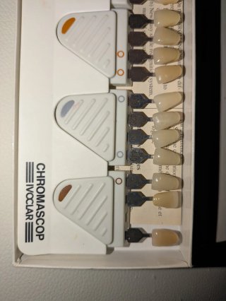 Guías de Color Dental Vita Lumin-Vacuum Chromasc