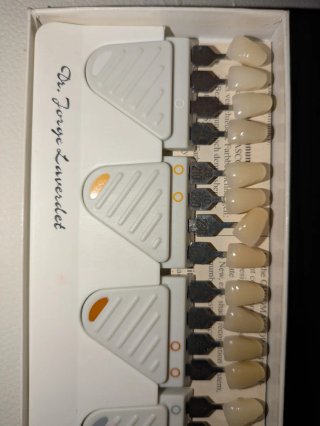 Guías de Color Dental Vita Lumin-Vacuum Chromasc