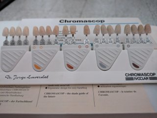 Guías de Color Dental Vita Lumin-Vacuum Chromasc