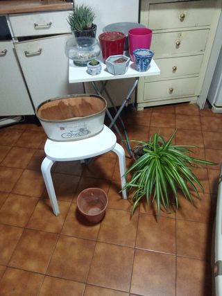 Lotes de macetas y recipientes para plantas