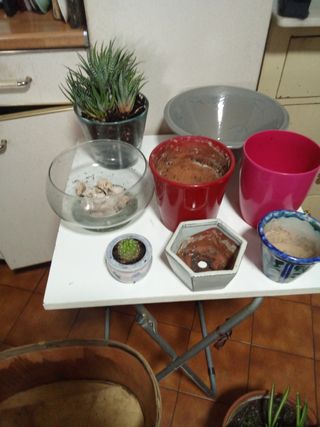 Lotes de macetas y recipientes para plantas