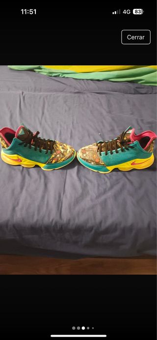 Nike Lebron XIX