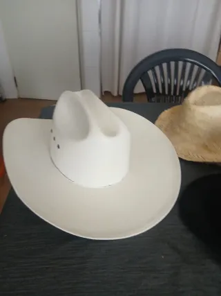 Lote 3 Sombreros Disfraz Niños 50 céntimos cada un