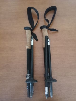 Bastones Black Diamond Alpine FLZ