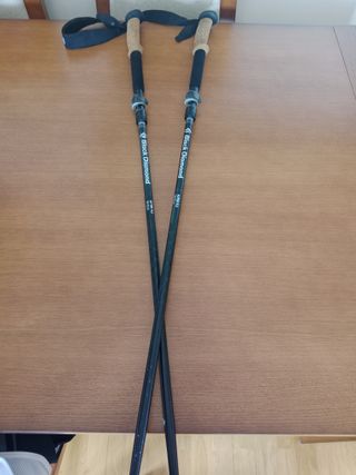 Bastones Black Diamond Alpine FLZ