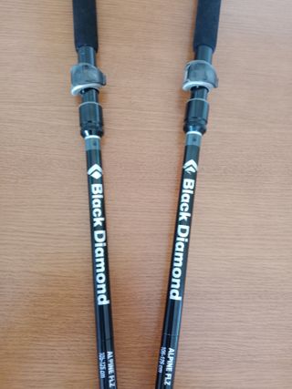 Bastones Black Diamond Alpine FLZ