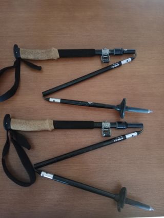 Bastones Black Diamond Alpine FLZ