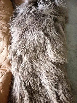 Chaleco ropa de pelo lana y piel cordero auténtica