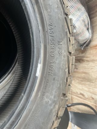 Neumáticos todoterreno 19 pulgadas
