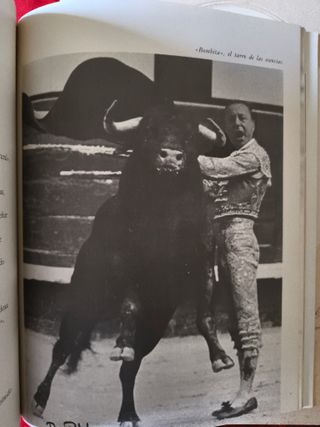 Figuras Fiesta Nacional Foto Libro Humor 1977