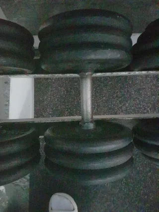 Manubri da palestra
