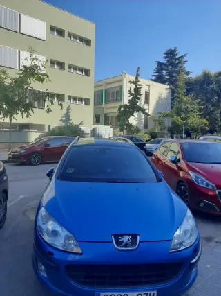 Peugeot 407 2004