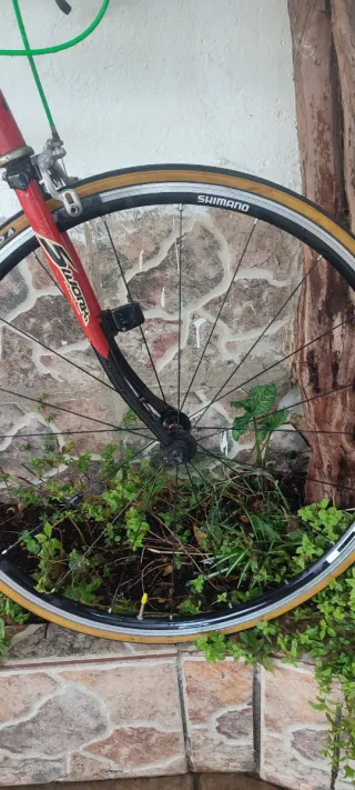 Bicicleta antigua restaurada