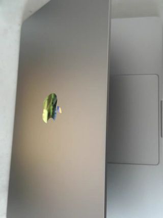 2025 MacBook Air M4 16GB RAM 256GB SSD