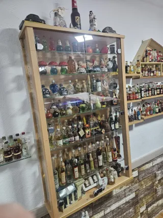 Colección Botellas Miniatura