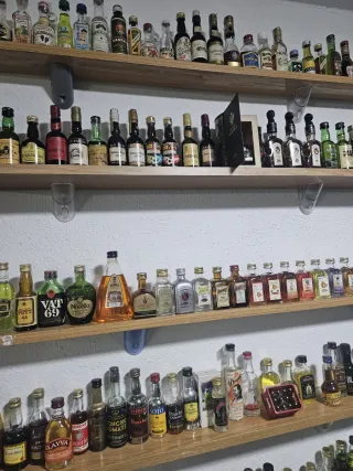 Colección Botellas Miniatura
