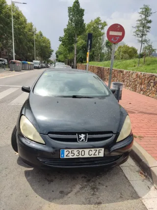 Peugeot 307 2004