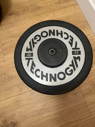 Mancuernas Technogym 22 kg
Se escuchan ofertas 