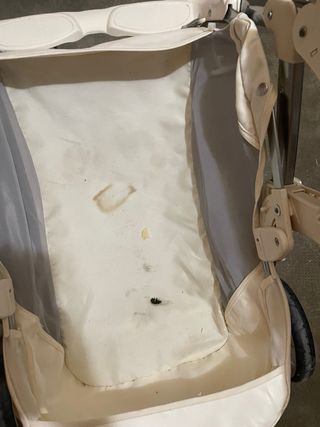 Passeggino Cam Orsetto