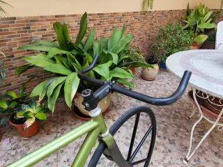 Bicicleta Fixie Verde 700