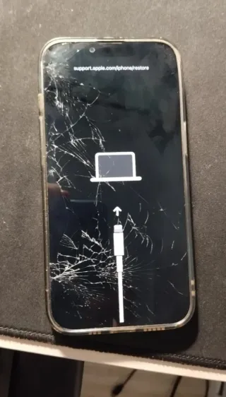 iPhone 13 Roto
