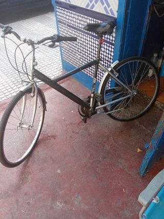 Bicicleta de paseo