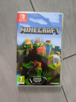 Minecraft Nintendo Switch