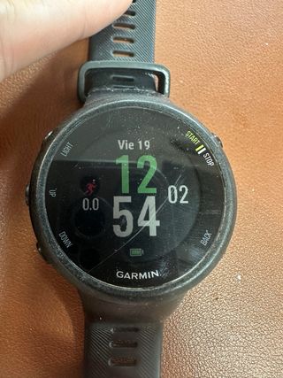 garmin Forerunner 45 #244502