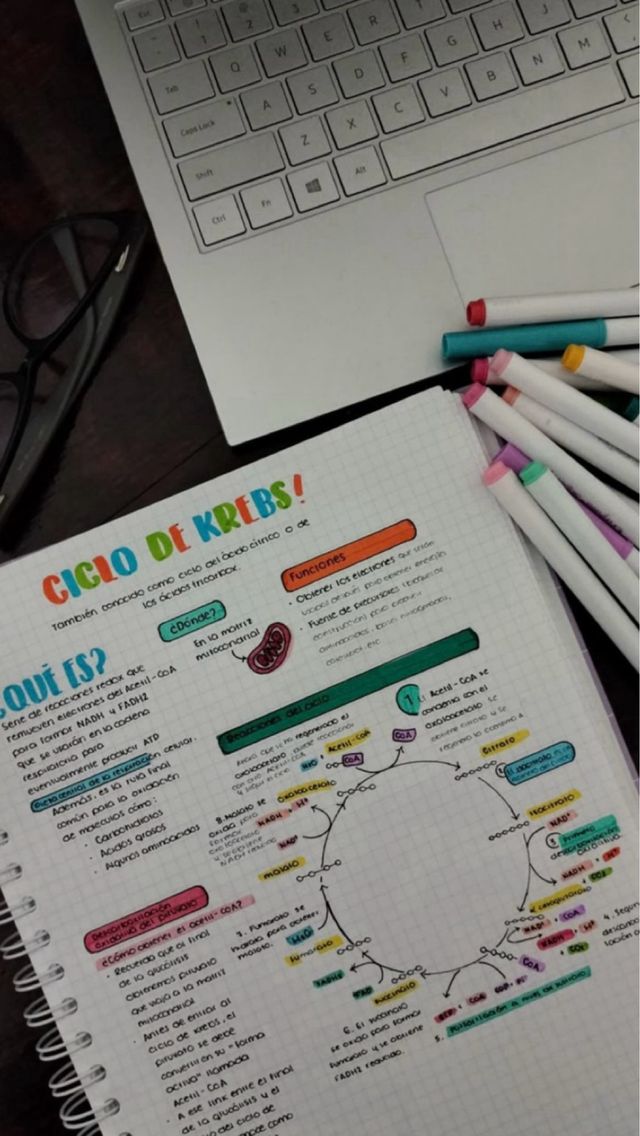 APUNTES BACHILLERATO Y SELECTIVIDAD