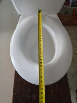 Inodoro infantil aprendizaje niños con dificultad