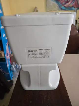 Inodoro infantil aprendizaje niños con dificultad