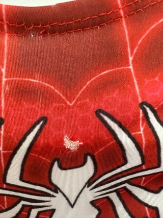 Disfraz Spiderman Carnaval Adulto Talla Única