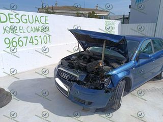 SOLO DESPIECE  AUDI A3 (8P1) 1900 TDI --  77 KW / 