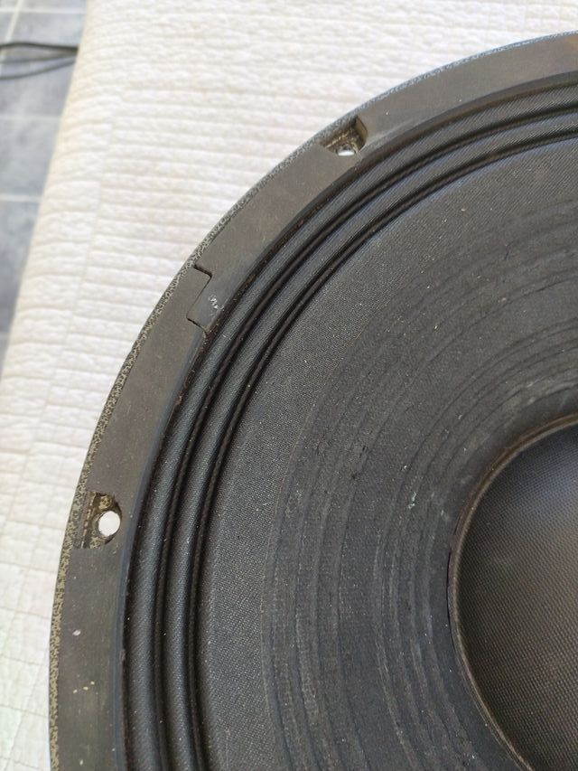 Altavoz 15 Selenium 15WS600