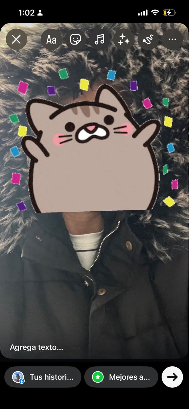 Abrigo negro con capucha y pelo