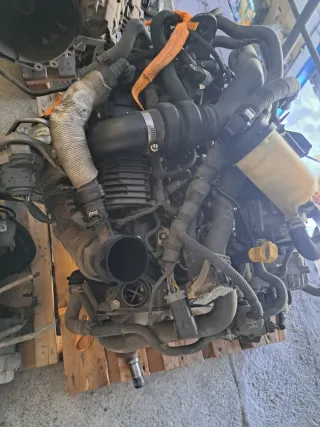 Motor Ford Custom