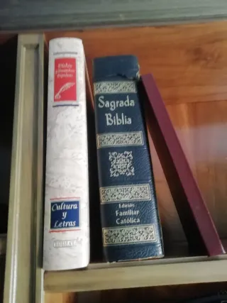 Antigüedades Libros Cuadros Artículos Varios 