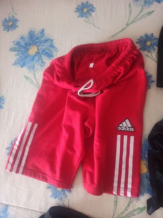 Lote de pantalones cortos deportivos