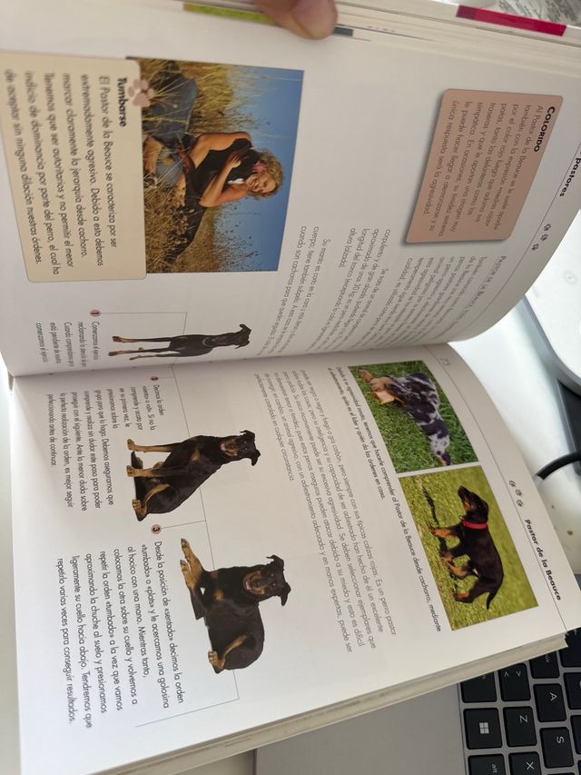 Trucos para Adiestrar a tu Perro (Spanish Edition)