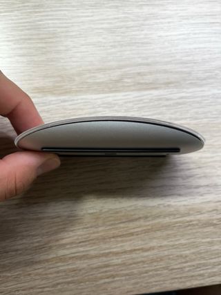 Magic Mouse Apple Plata