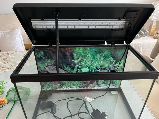 Acuario Negro y Transparente