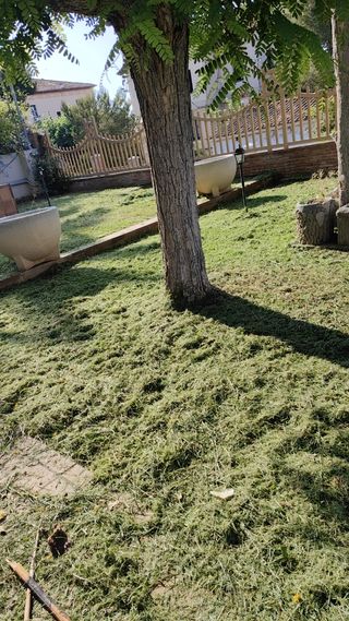 Se hacen todo tipo de trabajos de jardinería poda