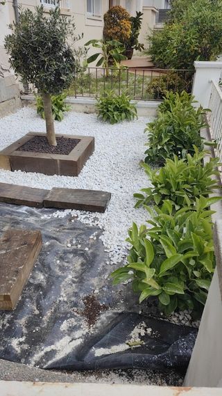 Se hacen todo tipo de trabajos de jardinería poda