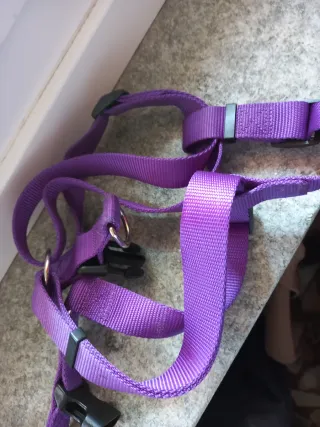 Pettorina per cani viola