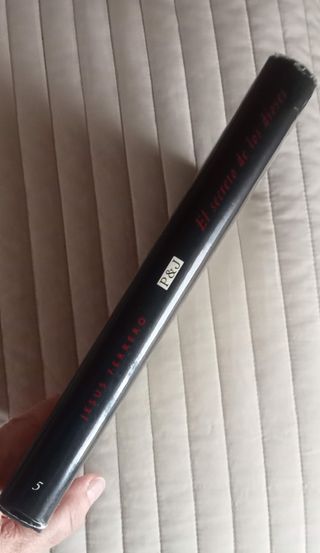 El secreto de los dioses (Ave fénix)