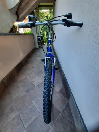 MTB Olmo 26 Blu