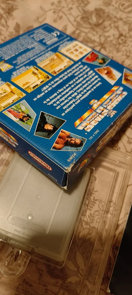 WF Superstars 2 Game Boy