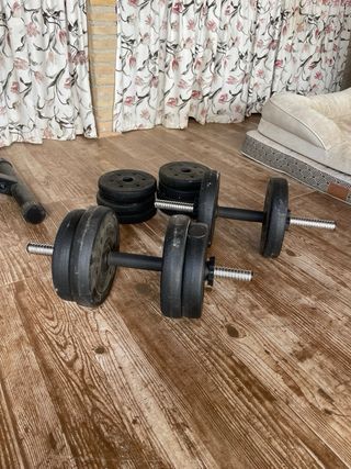 Panca e pesi da palestra