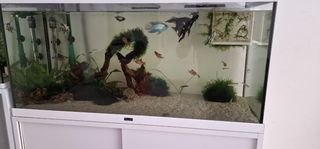 Acuario 200L